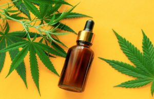 Can CBD Help In Heat Disease Treatment