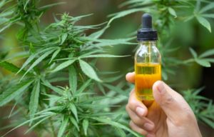 More About The CBD Oil Health Benefits
