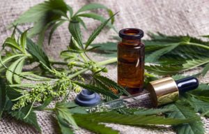 What Really Is CBD and How Does It Work