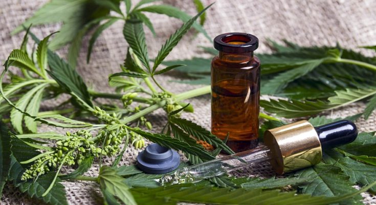 What Really Is CBD and How Does It Work