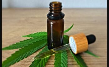 CBD Products