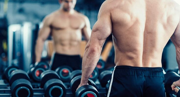 fat burners