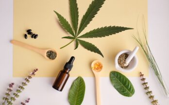 look for the best online CBD store